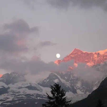 Naturfreunde *