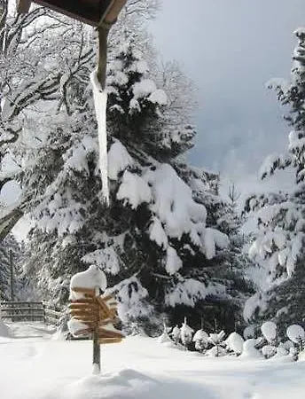 Naturfreunde * גרינדלוולד